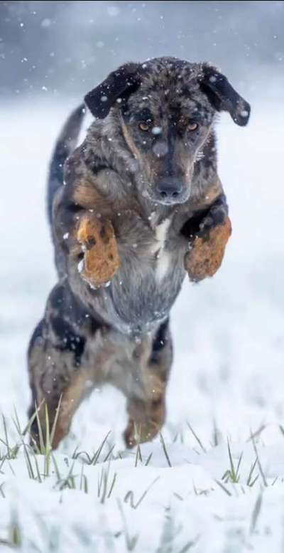 14. Farbenfoto-Challenge "Weiss"-Beitrag-Bild