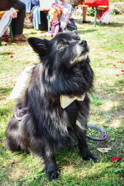 Dogorama Photo Challenge - Portrait-Beitrag-Bild