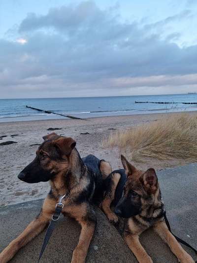 Fotochallenge Nr. 67: Euer Lieblingsbild-Beitrag-Bild