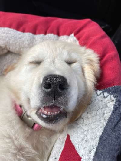 Lieblingsbild :D-Beitrag-Bild