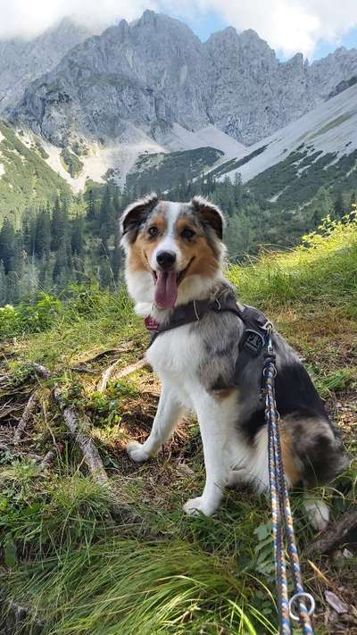 Fotochallenge Nr 107-Beitrag-Bild