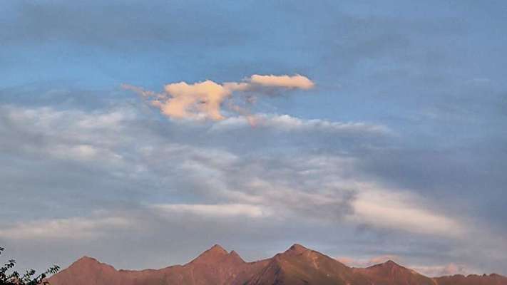 Unsere Fellnasen im Regenbogenland-Beitrag-Bild