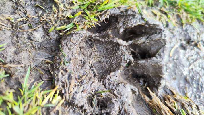 Foto Challenge Nr.135-Beitrag-Bild