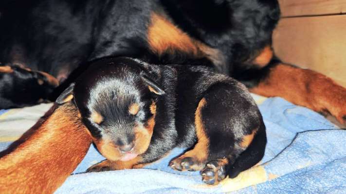 Foto Challenge Nr. 134-Beitrag-Bild