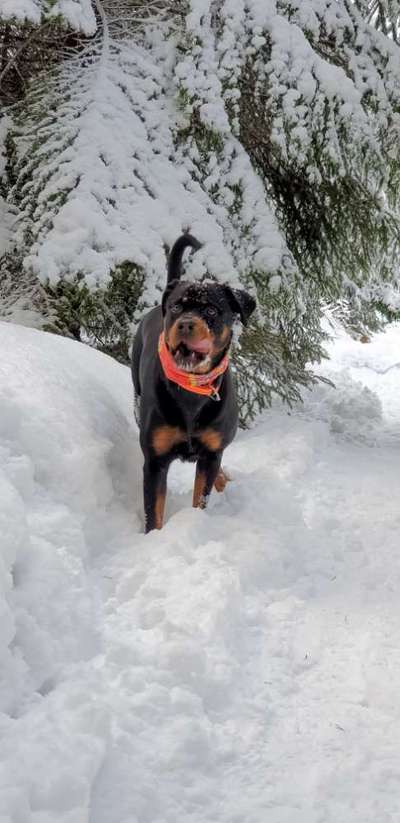 14. Farbenfoto-Challenge "Weiss"-Beitrag-Bild