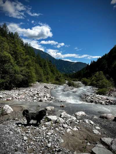 Hundeauslaufgebiet-Schöne Runde entlang des Frauenbachwasserfalls und dem Waldlehrpfad Wacht-Bild