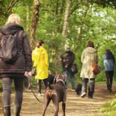 Hundetreffen-Social Walks-Bild