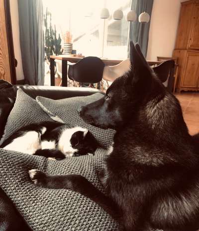 Challenge 30  Freundschaft-Beitrag-Bild