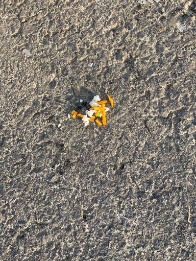 Giftköder-Giftköder-Bild