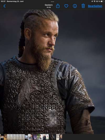 Wie heißt dein Hund?-Beitrag-Bild