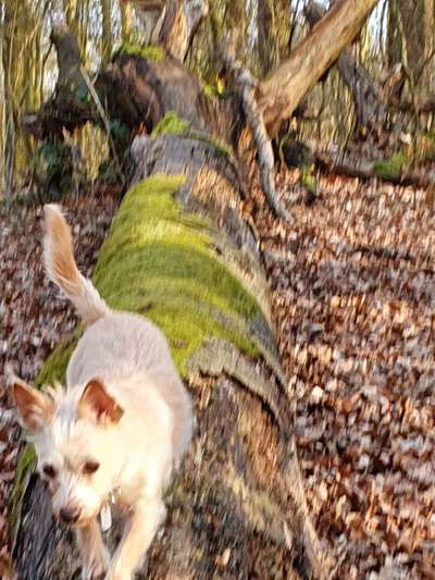 Fotowettbewerb Natur-Beitrag-Bild