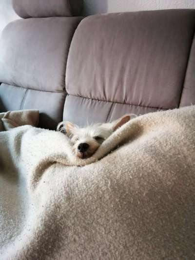 4. Lustiger Schlafplatz-Beitrag-Bild