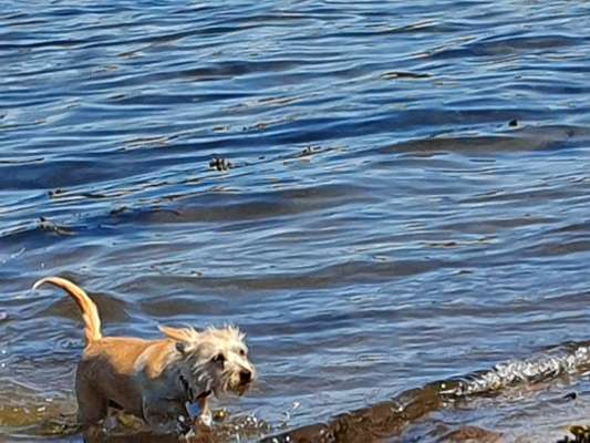 Theos Fotochallange Nummer 4-Beitrag-Bild