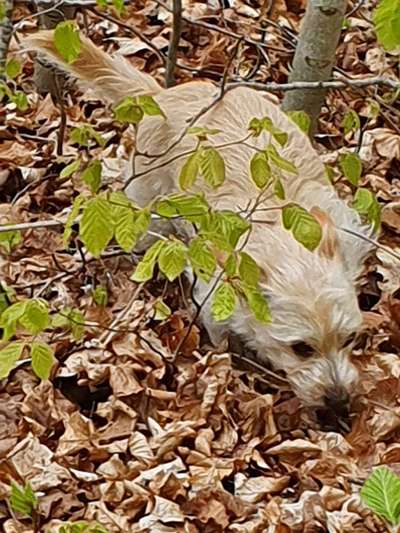 Foto Challenge Nr. 79-Beitrag-Bild