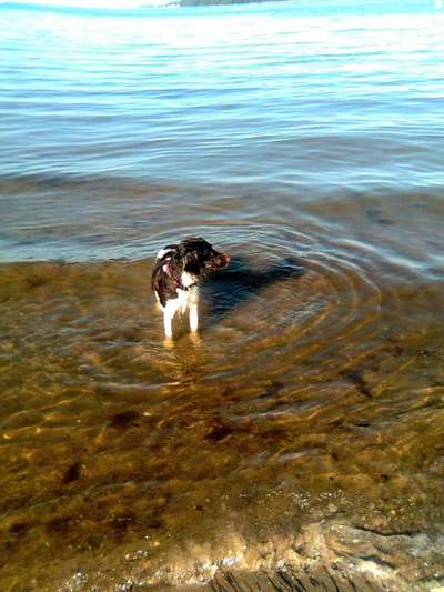 Theos Fotochallange Nummer 4-Beitrag-Bild