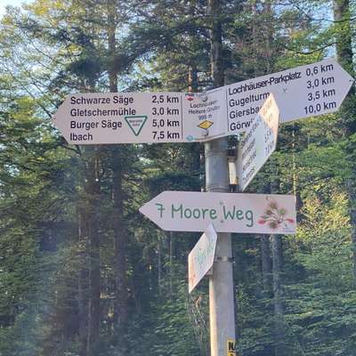 Titelbild Gruppe Wandern mit Hund Vogesen-Schwarzwald-Jura