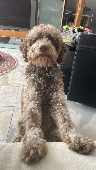 147. Foto Challenge: Bettelblick-Beitrag-Bild