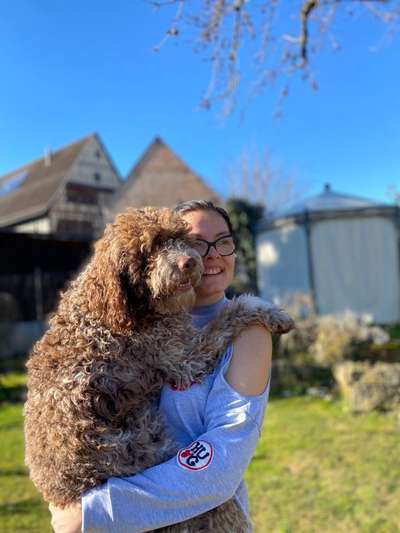 Dogorama Photo Challenge - Be my valentine-Beitrag-Bild