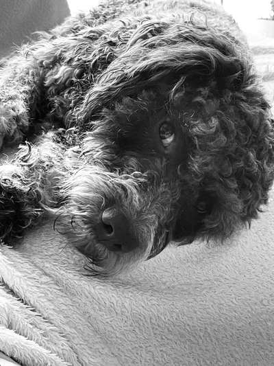 Foto-Challenge 76: Foto in Schwarz-Weiss-Beitrag-Bild