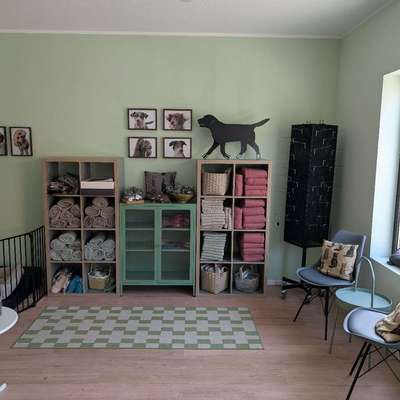 Hundefriseure-HUNDEFRISEUR CURLY CLUB WELLNESS & MEHR-Bild
