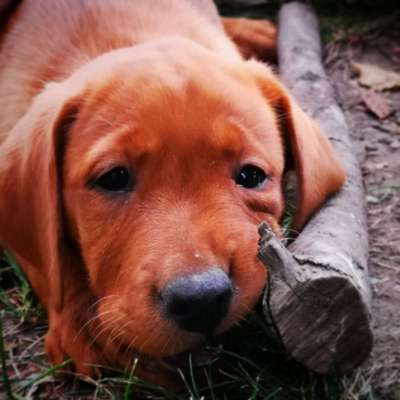 Fotochallange Nr. 57     PORTRÄT.   Beendet!!!!!!!!-Beitrag-Bild