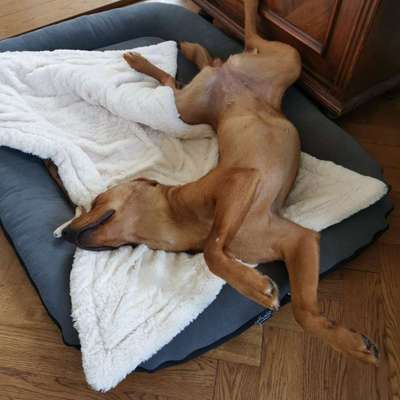 Fotochallenge Nr.65-Beitrag-Bild