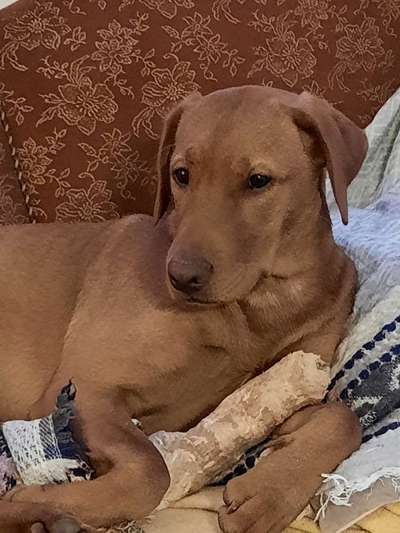 Fotochallenge Nr. 64-Beitrag-Bild