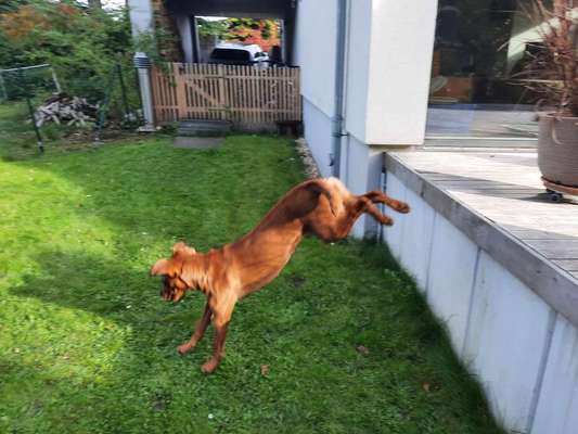 Fotochallenge Nr. 52 „Spring!“-Beitrag-Bild