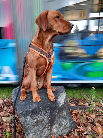 Fotochallenge Nr. 67: Euer Lieblingsbild-Beitrag-Bild