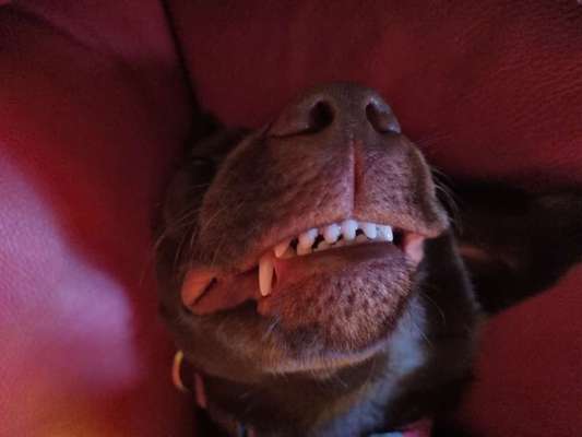 Lustige Grimassen & verrückte Posen-Beitrag-Bild