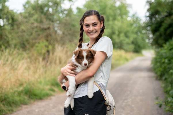 Hundetreffen-Gassitreff und Freunde finden-Bild