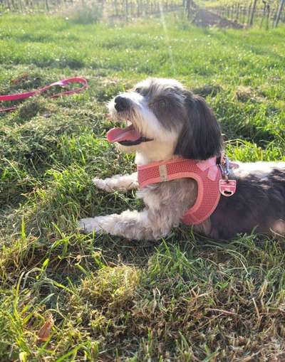 Immer lächeln !-Beitrag-Bild