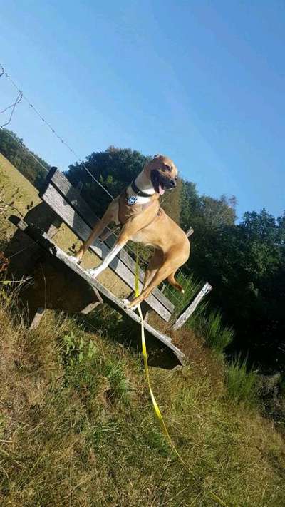 Zeigt mir eure Lieblingsfotos ♡♡-Beitrag-Bild