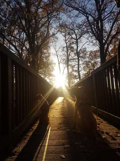 Postet eure schönsten Bilder von Spaziergängen in 2020!-Beitrag-Bild