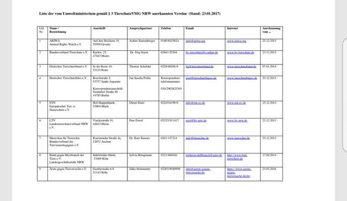 Welpen-/Hundekauf,Welpenhandel=Informationen und Hilfe-Beitrag-Bild