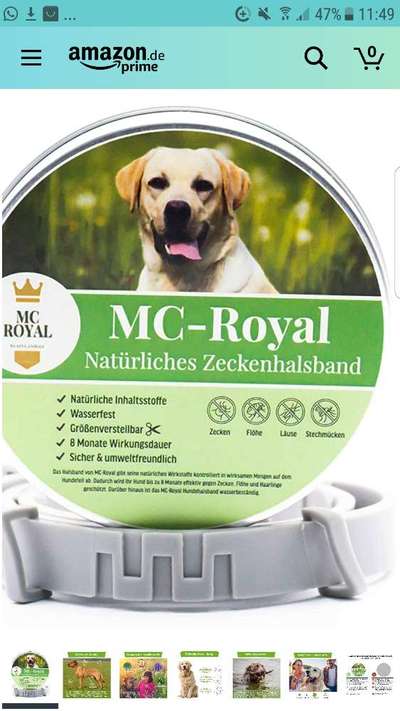 Floh und Zeckenmittel-Beitrag-Bild