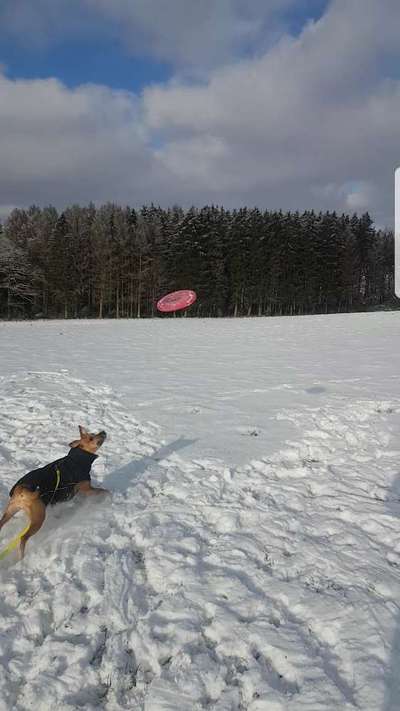 Zeigt doch mal eure Discdogs-Beitrag-Bild