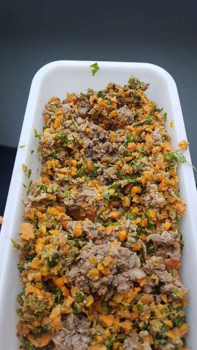 Zeigt eure Näpfe-Beitrag-Bild