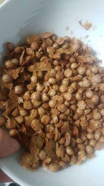 Heute gibt es.....der "ich mach die Leckerlis-Selber-Thread"-Beitrag-Bild