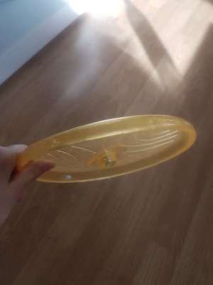 How to Dog-Frisbee?-Beitrag-Bild