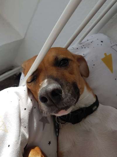 Fotochallange Nr. 6 Die irrsten Blicke-Beitrag-Bild