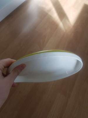 How to Dog-Frisbee?-Beitrag-Bild