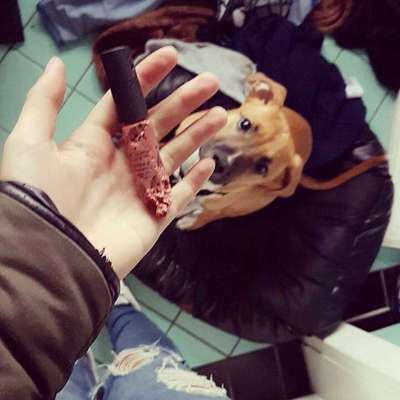 Hier ist der Spaßthread. Zum Schmunzeln und Kaputtlachen-Beitrag-Bild