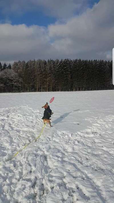 Zeigt doch mal eure Discdogs-Beitrag-Bild