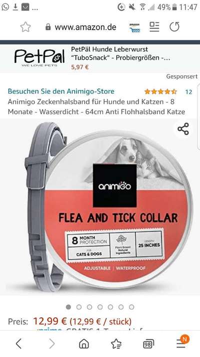 Floh und Zeckenmittel-Beitrag-Bild