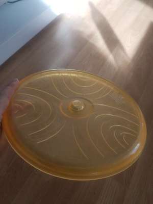 How to Dog-Frisbee?-Beitrag-Bild