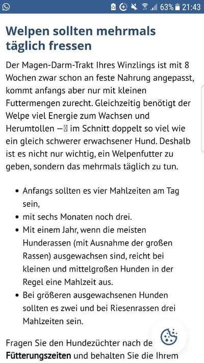 Wieviel Futter?-Beitrag-Bild