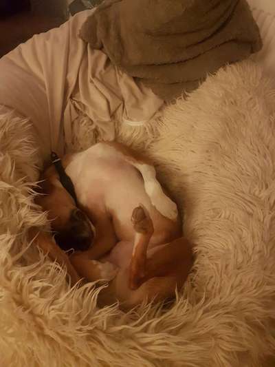 Die unbequemsten und lustigsten Schlafpositionen-Beitrag-Bild