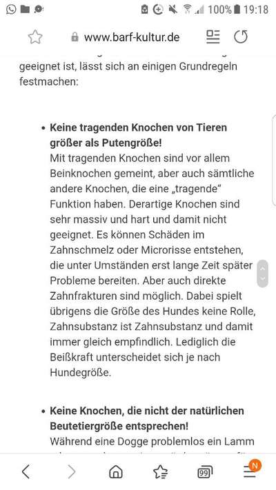 Knochenfütterung-Beitrag-Bild