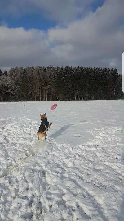 Zeigt doch mal eure Discdogs-Beitrag-Bild